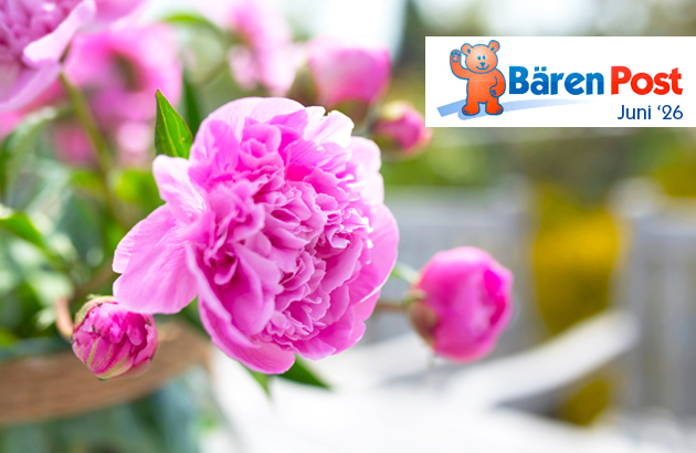 Newsletter Mai 2026