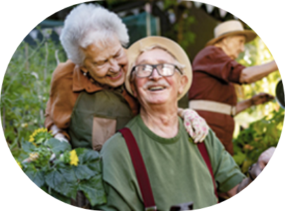 Anti-Aging