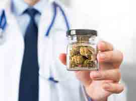 Neues Cannabis-Gesetz 