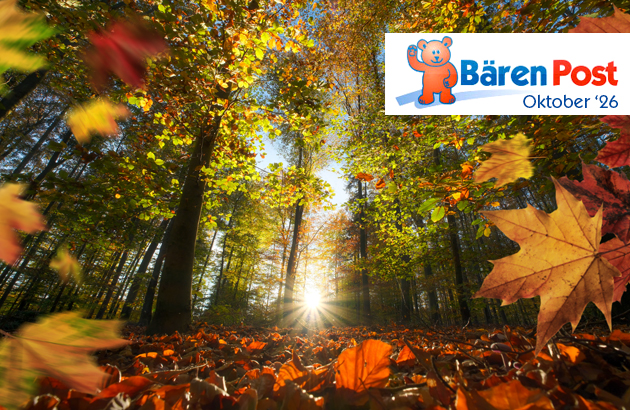 Newsletter Oktober 2026