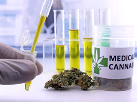 Medizinischer Cannabis Baren Apotheke
